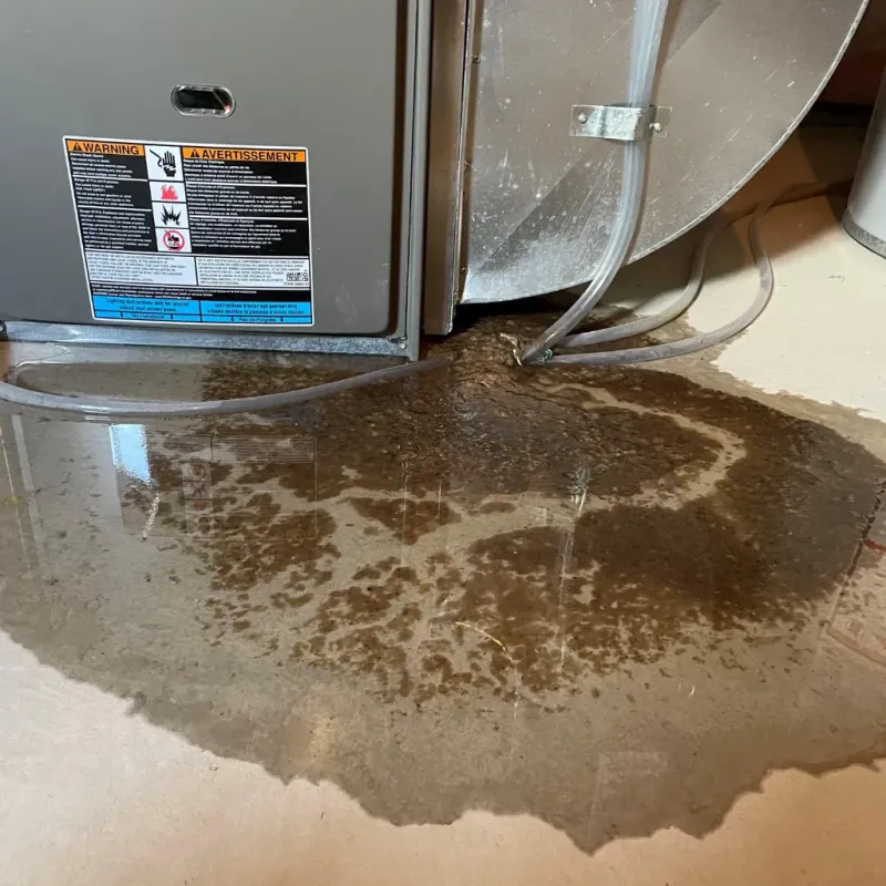 Appliance Leak Cleanup in Warrior, AL